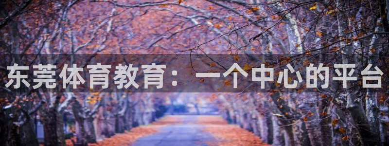 注册米兰体育官方正版app：东莞体育教育：一个中心的