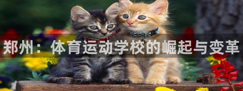 米兰体育官方平台体育：郑州：体育运动学校的崛起与变革