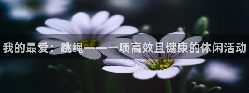 米兰体育官方正版app娱乐首页官网下载：我的最爱：跳