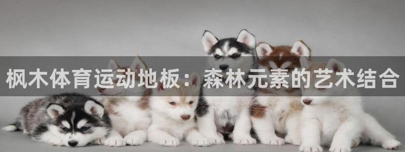 米兰体育官方正版app娱乐平台：枫木体育运动地板：森