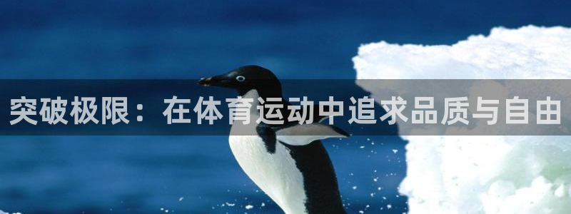 米兰体育官方正版app娱乐下载：突破极限：在体育运动