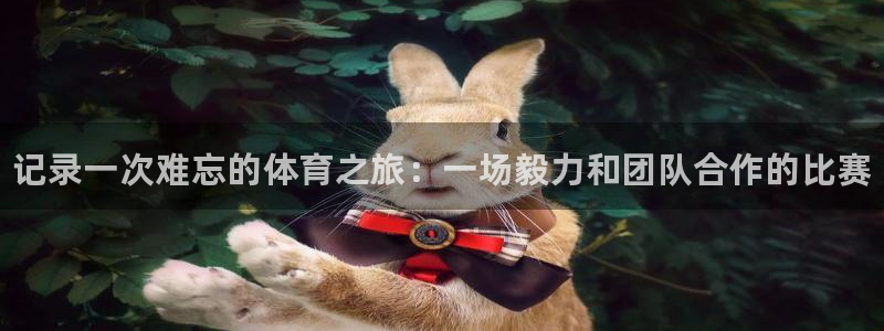 米兰体育官网下载开户：记录一次难忘的体育之旅：一场毅