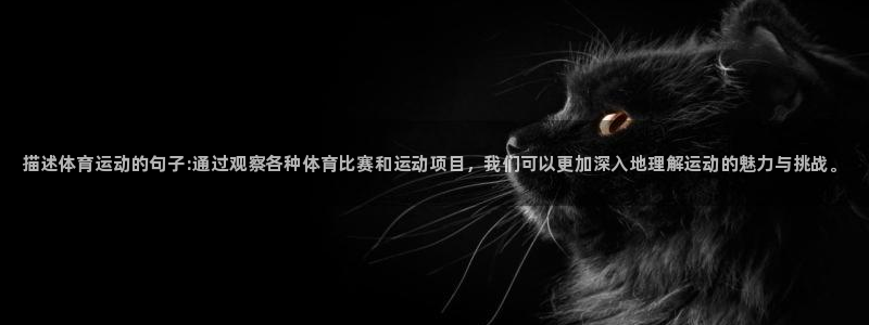 米兰体育官网下载招商：描述体育运动的句子:通过观察各