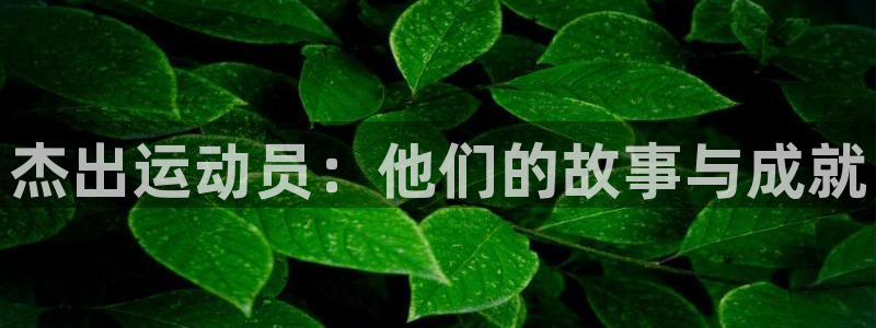 米兰体育官网下载平台注册要钱吗安全吗：杰出运动员：他们的故事