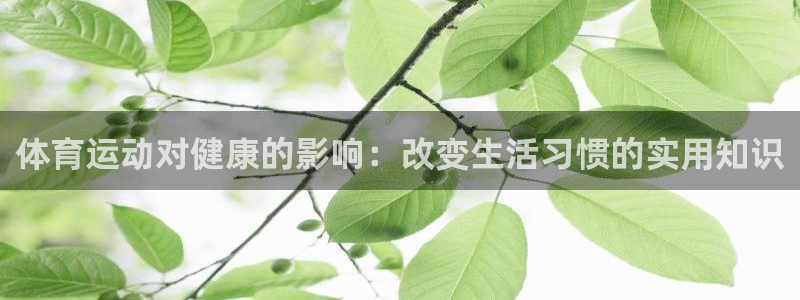 米兰体育官方正版app集团E.ON：体育运动对健康的影响：改