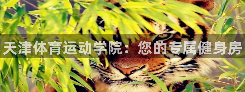 米兰体育官方正版app集团官网网址