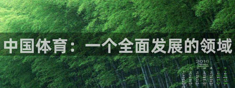 米兰体育官网下载平台是正规平台吗知乎:中国体育:一个全面发展