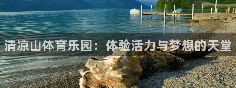 米兰体育官网下载是干嘛的公司