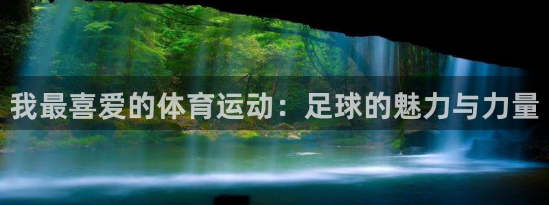 米兰体育官网下载招商电话：我最喜爱的体育运动：足球的魅力与力