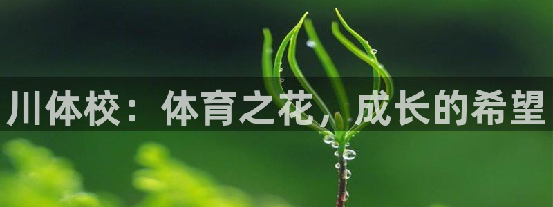 米兰体育官方正版app娱乐是那个系列的台子：川体校：