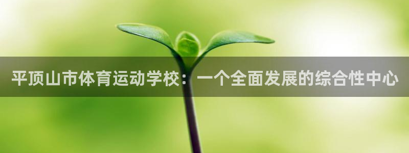 米兰体育官网下载软件：平顶山市体育运动学校：一个全面