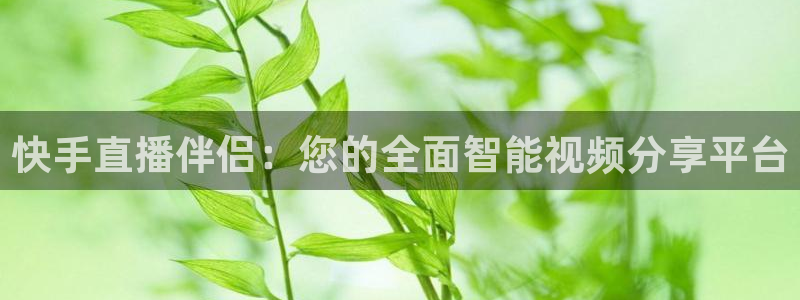 河豚体育直播免费