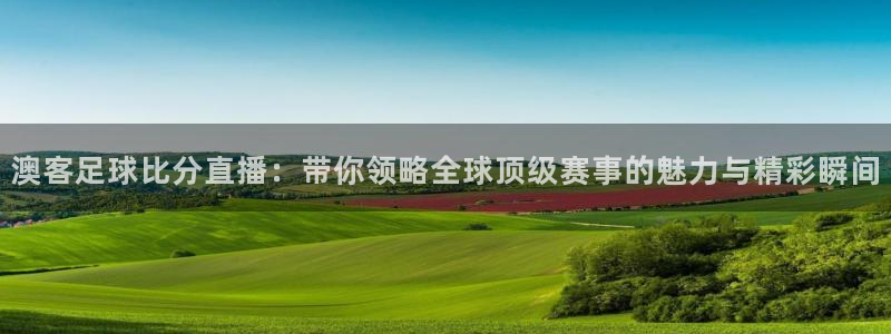 河豚体育nba直播