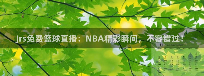 河豚在线nba直播