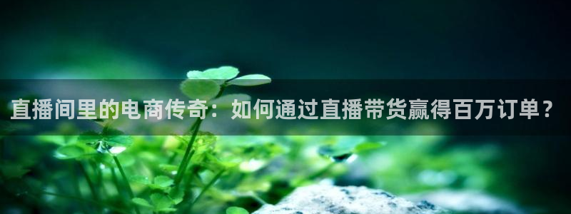 河豚直播在线看球