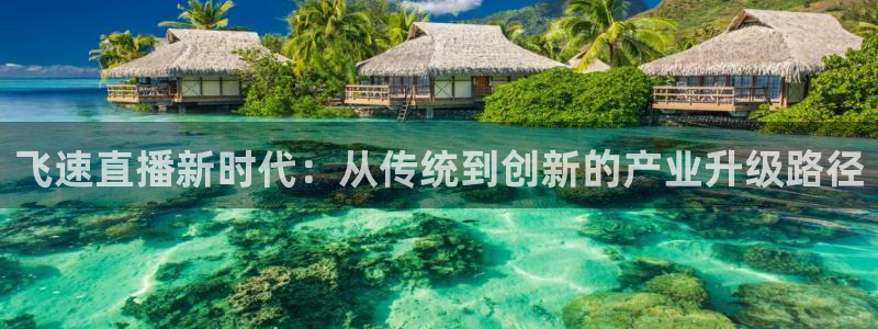 河豚体育直播app下载：飞速直播新时代：从传统到创新的产业升级路径