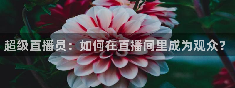 河豚看球：超级直播员：如何在直播间里成为观众？