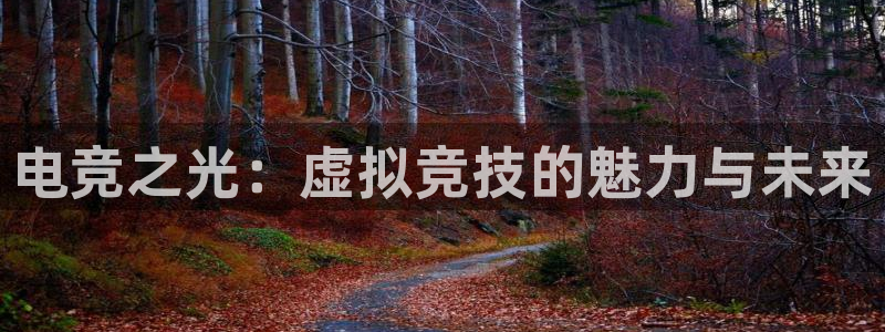 河豚足球体育直播：电竞之光：虚拟竞技的魅力与未来